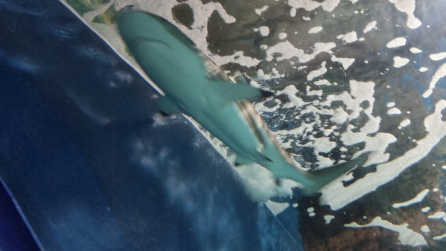 ../images/fotoalbum/lanzarote23/2023-09-18 10.56.02